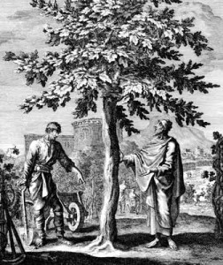 Parable of the Fig Tree