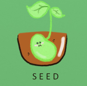 seed1