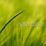 6a0148c81cfc73970c019b01680331970d-800wi-2