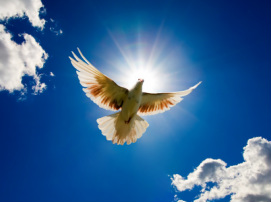 GodwithUs