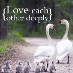 Love Each Other.