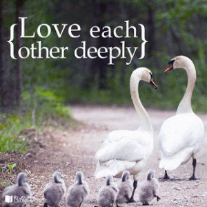 Love Each Other.
