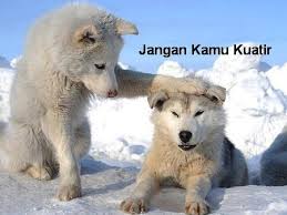 images-2