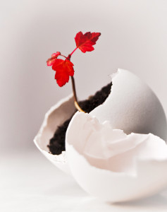 Born_Again_by_DodgeNBurn