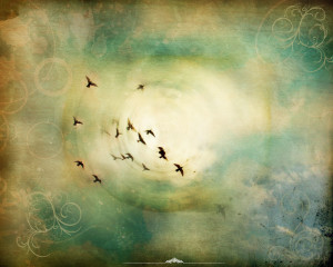 freedom_fly_wallpaper