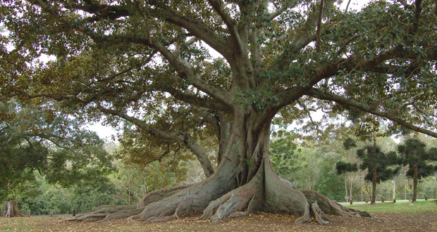 easter-journeymonday1-0414